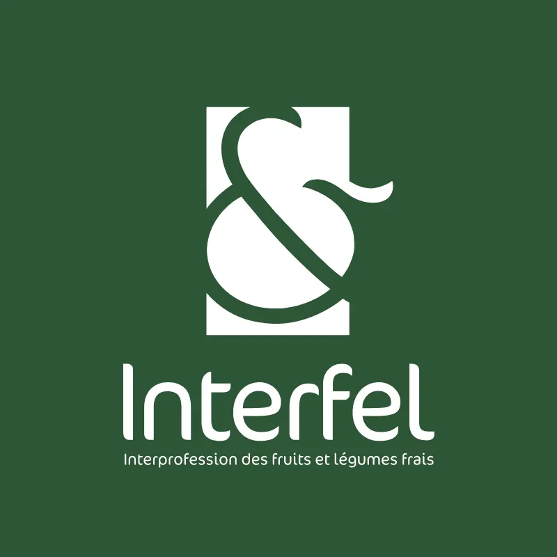 INTERFEL img3